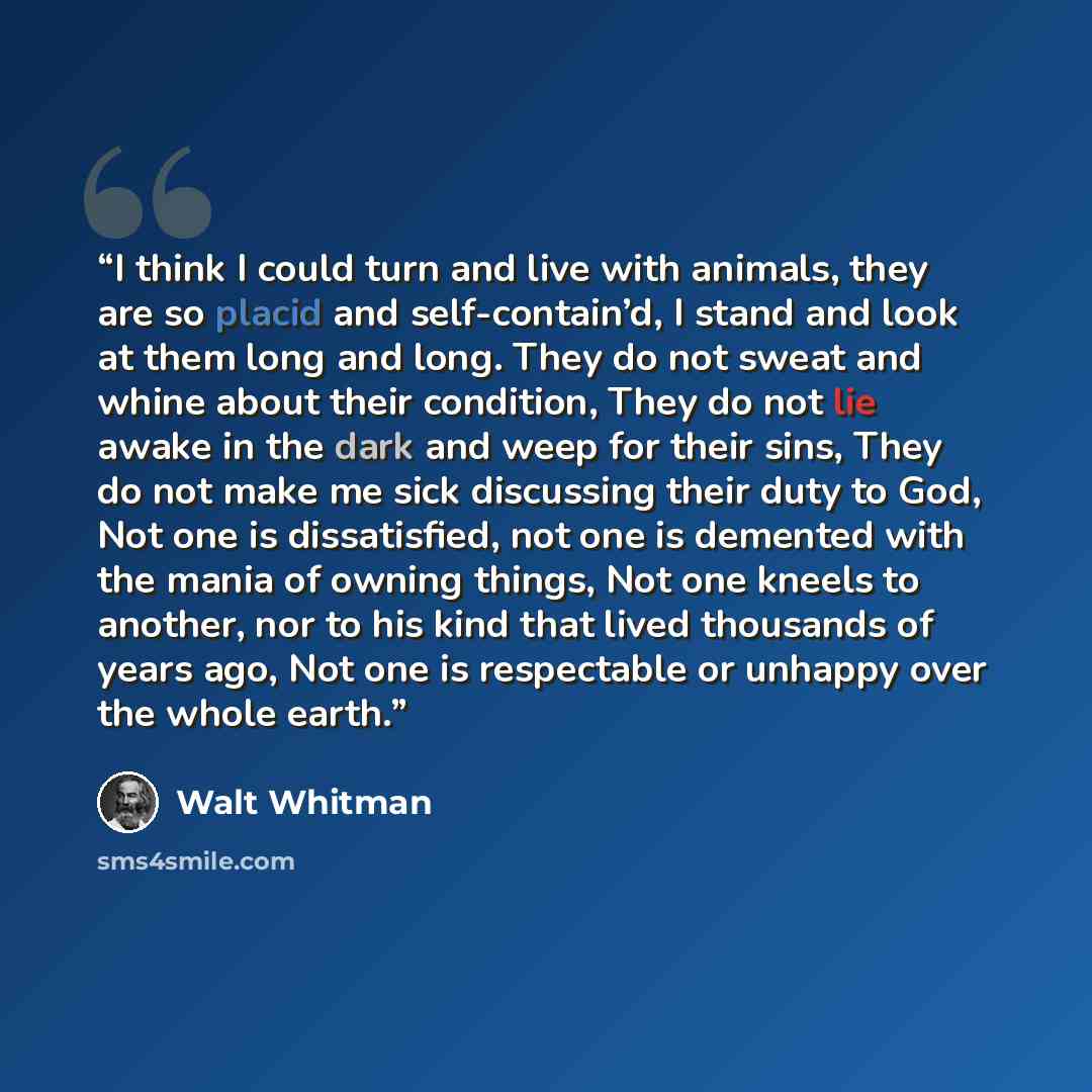“I think I could turn and live with animals, they are so placid and self-contain’d, I stand and look at them long and long. They do not sweat and whine about their condition, They do not lie awake in the dark and weep for their sins, They do not make me sick discussing their duty to God, Not one is…” quote by Walt Whitman