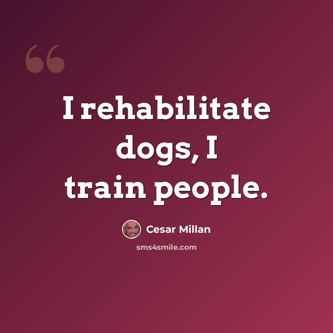 “I rehabilitate dogs, I train people.” quote by Cesar Millan