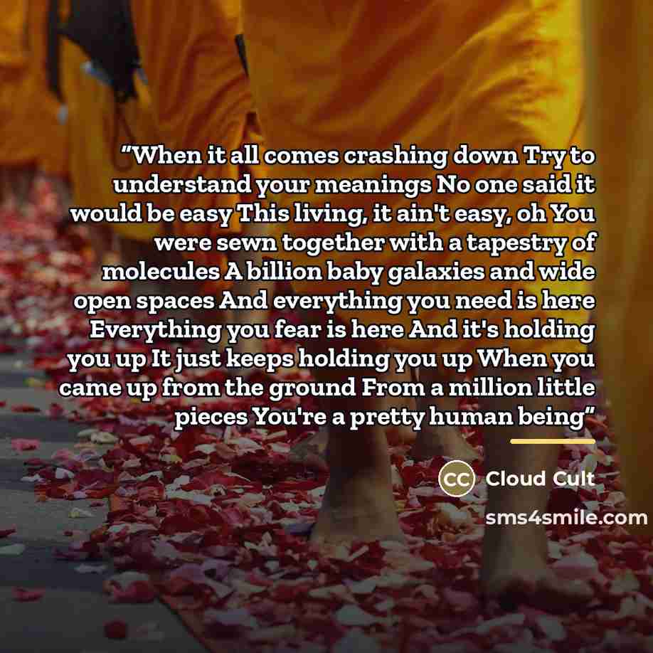 “When it all comes crashing down Try to understand your meanings No one said it would be easy This living, it ain't easy, oh You were sewn together with a tapestry of molecules A billion baby galaxies and wide open spaces And everything you need is here Everything you fear is here And it's holding…” quote by Cloud Cult