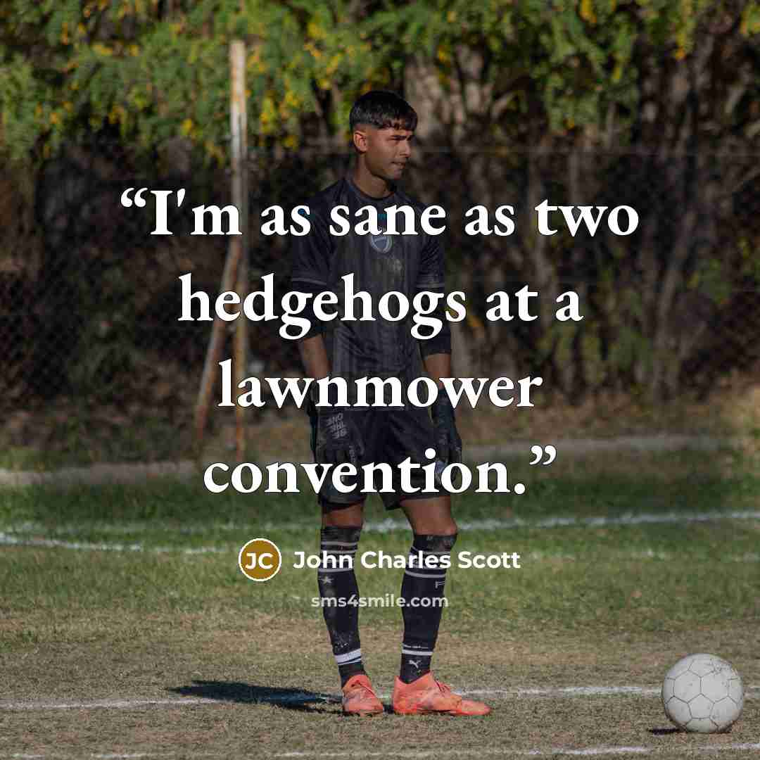 “I'm as sane as two hedgehogs at a lawnmower convention.” quote by John Charles Scott