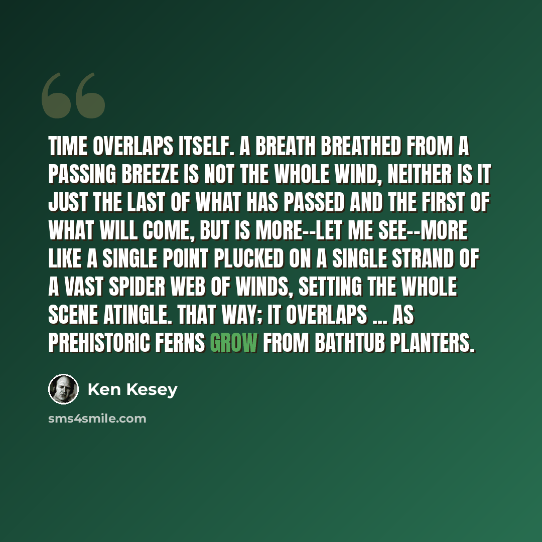 “Time overlaps itself. A breath breathed from a passing breeze is not the whole wind, neither is it just the last of what has passed and the first of what will come, but is more--let me see--more like a single point plucked on a single strand of a vast spider web of winds, setting the whole scene…” quote by Ken Kesey