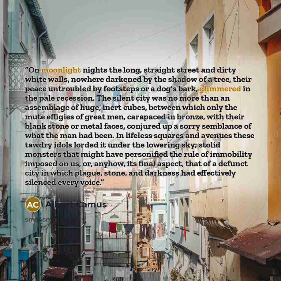 “On moonlight nights the long, straight street and dirty white walls, nowhere darkened by the shadow of a tree, their peace untroubled by footsteps or a dog's bark, glimmered in the pale recession. The silent city was no more than an assemblage of huge, inert cubes, between which only the mute…” quote by Albert Camus