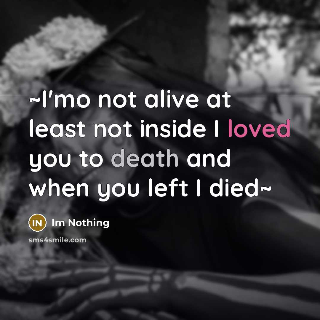 “~I'mo not alive at least not inside I loved you to death and when you left I died~” quote by Im Nothing