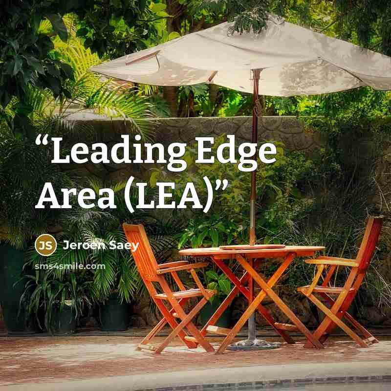 “Leading Edge Area (LEA)” quote by Jeroen Saey