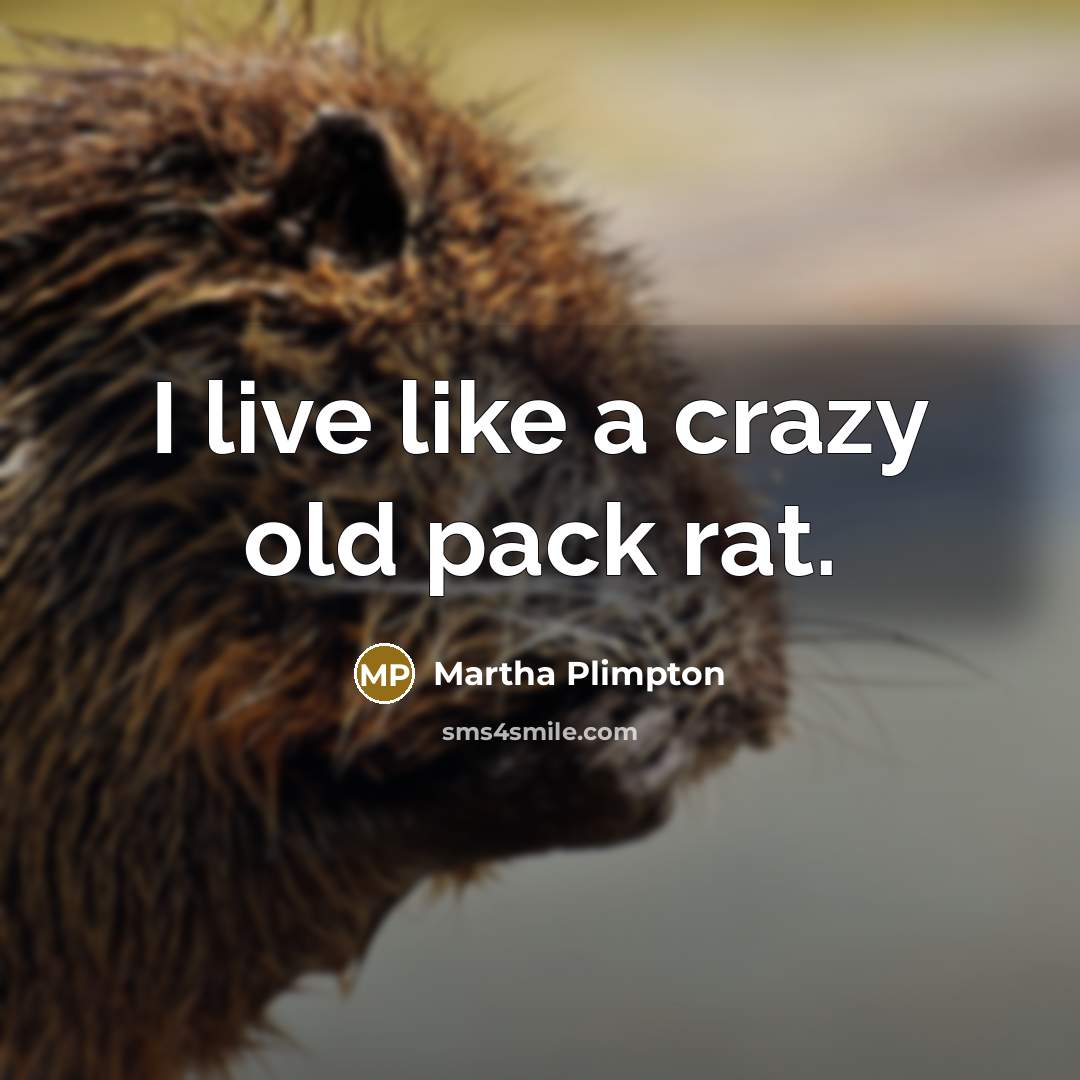 “I live like a crazy old pack rat.” quote by Martha Plimpton