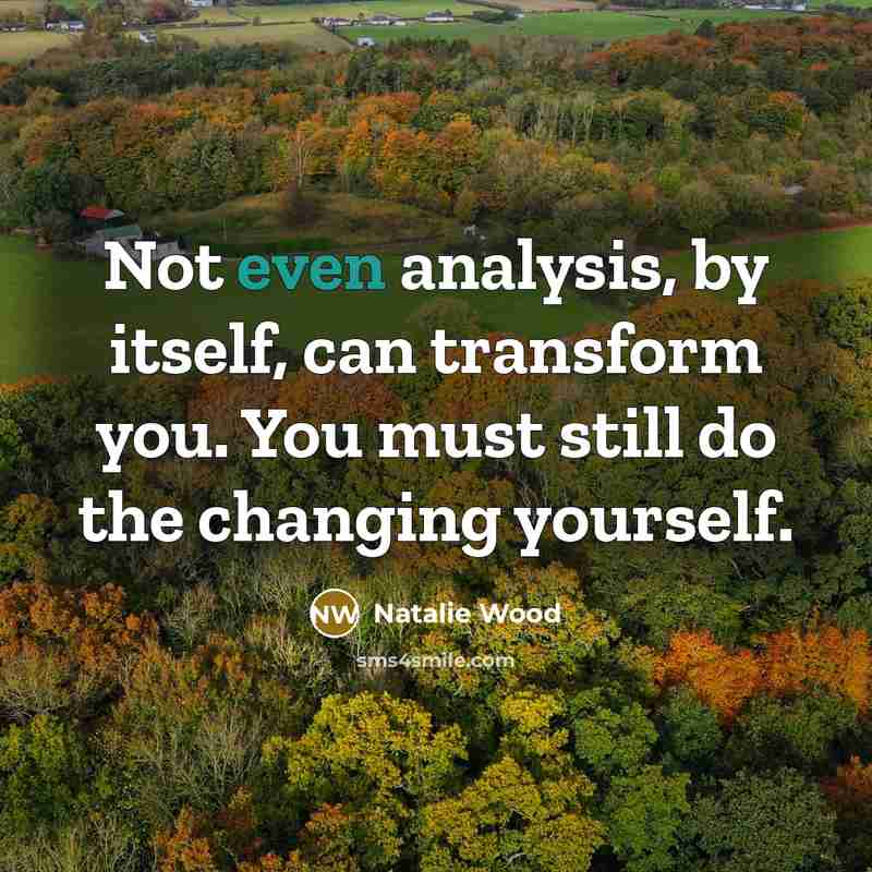 “Not even analysis, by itself, can transform you. You must still do the changing yourself.” quote by Natalie Wood