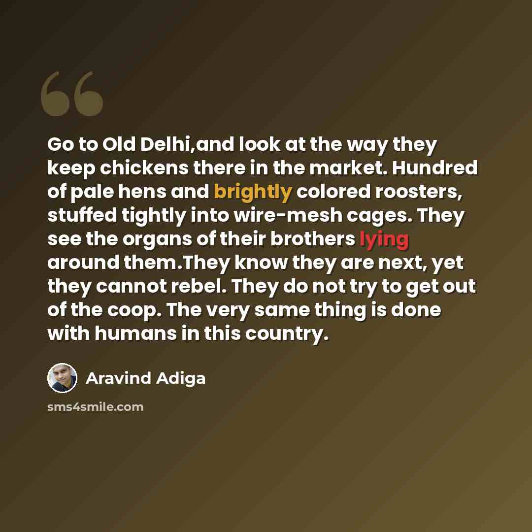 “Go to Old Delhi,and look at the way they keep chickens there in the market. Hundred of pale hens and brightly colored roosters, stuffed tightly into wire-mesh cages. They see the organs of their brothers lying around them.They know they are next, yet they cannot rebel. They do not try to get out…” quote by Aravind Adiga