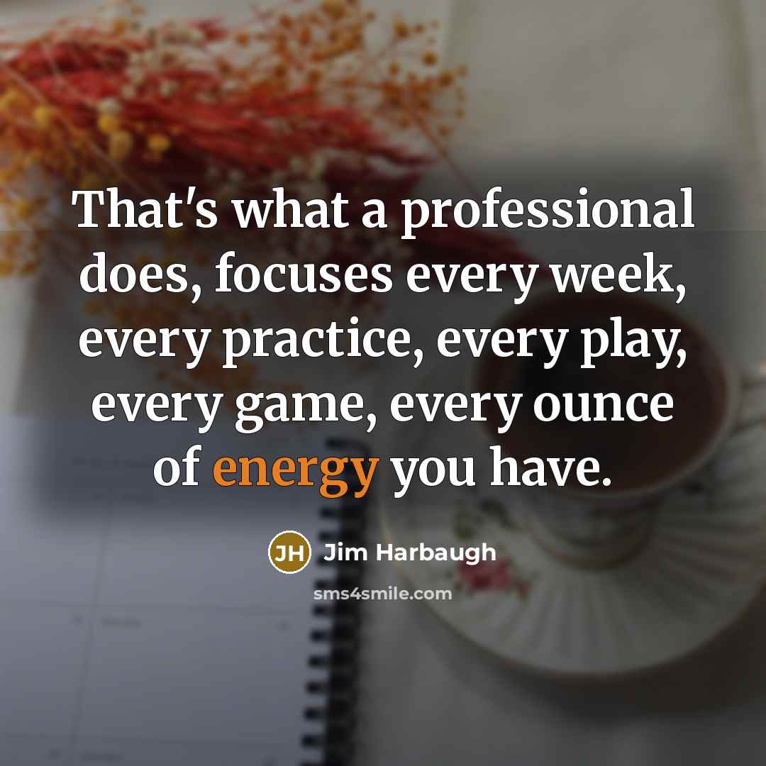 “That's what a professional does, focuses every week, every practice, every play, every game, every ounce of energy you have.” quote by Jim Harbaugh