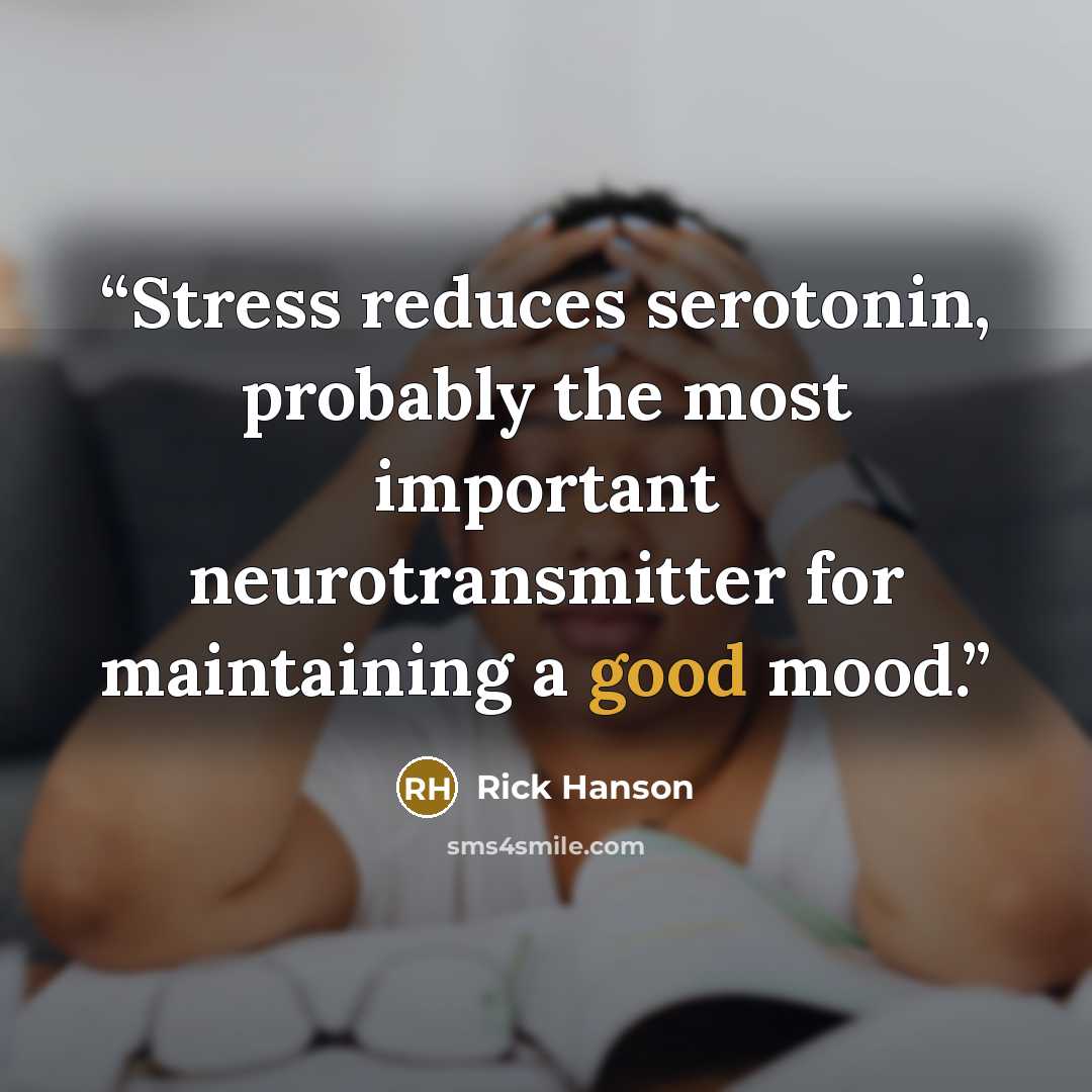 “Stress reduces serotonin, probably the most important neurotransmitter for maintaining a good mood.” quote by Rick Hanson