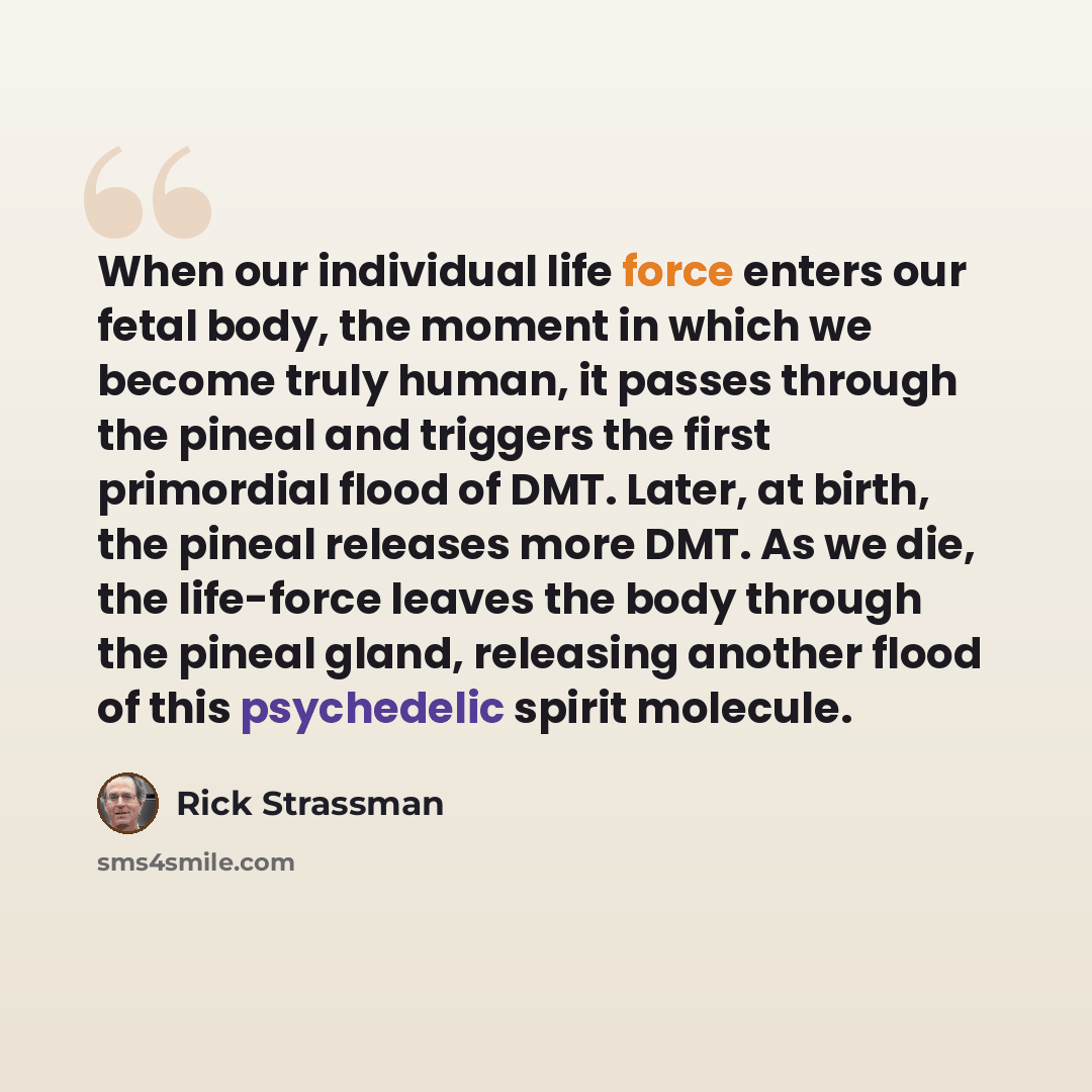 “When our individual life force enters our fetal body, the moment in which we become truly human, it passes through the pineal and triggers the first primordial flood of DMT. Later, at birth, the pineal releases more DMT. As we die, the life-force leaves the body through the pineal gland, releasing…” quote by Rick Strassman