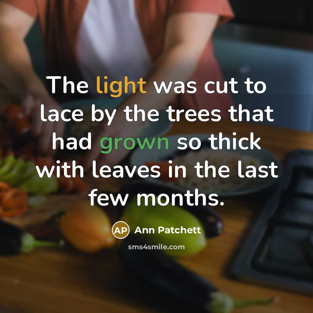 “The light was cut to lace by the trees that had grown so thick with leaves in the last few months.” quote by Ann Patchett