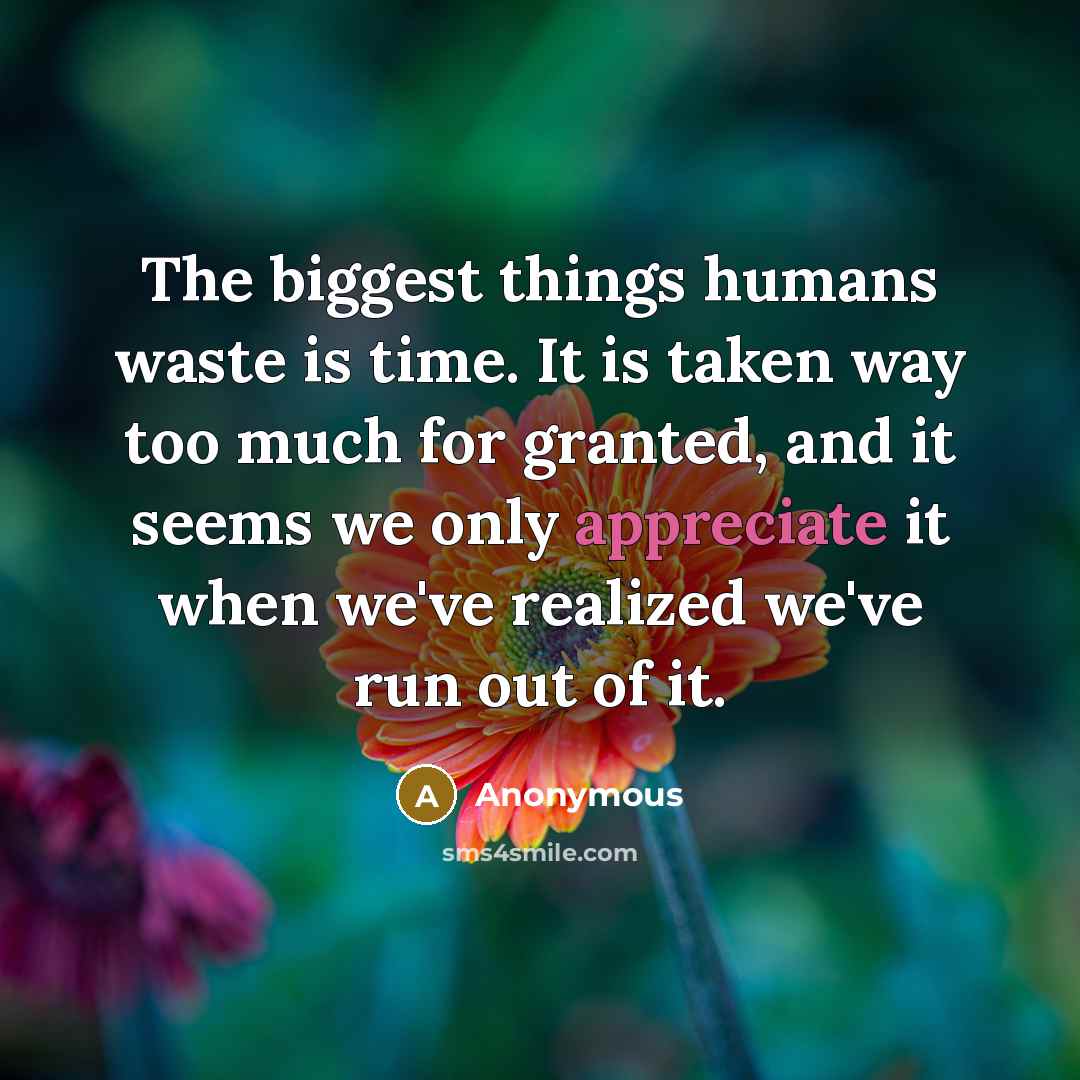 “The biggest things humans waste is time. It is taken way too much for granted, and it seems we only appreciate it when we've realized we've run out of it.” quote by Anonymous