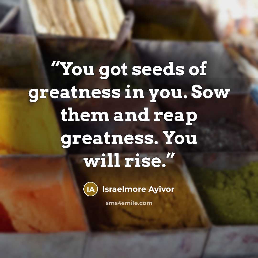“You got seeds of greatness in you. Sow them and reap greatness. You will rise.” quote by Israelmore Ayivor