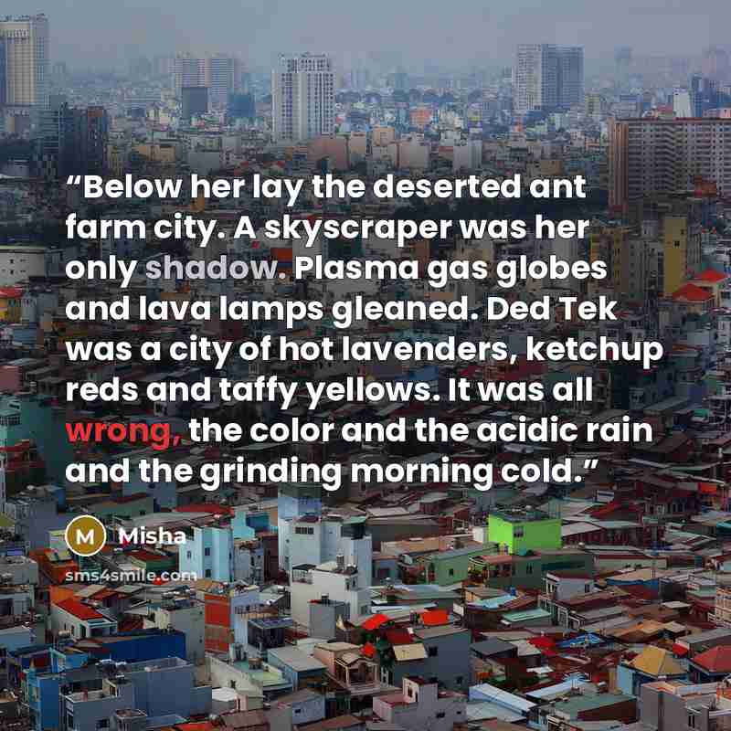 “Below her lay the deserted ant farm city. A skyscraper was her only shadow. Plasma gas globes and lava lamps gleaned. Ded Tek was a city of hot lavenders, ketchup reds and taffy yellows. It was all wrong, the color and the acidic rain and the grinding morning cold.” quote by Misha