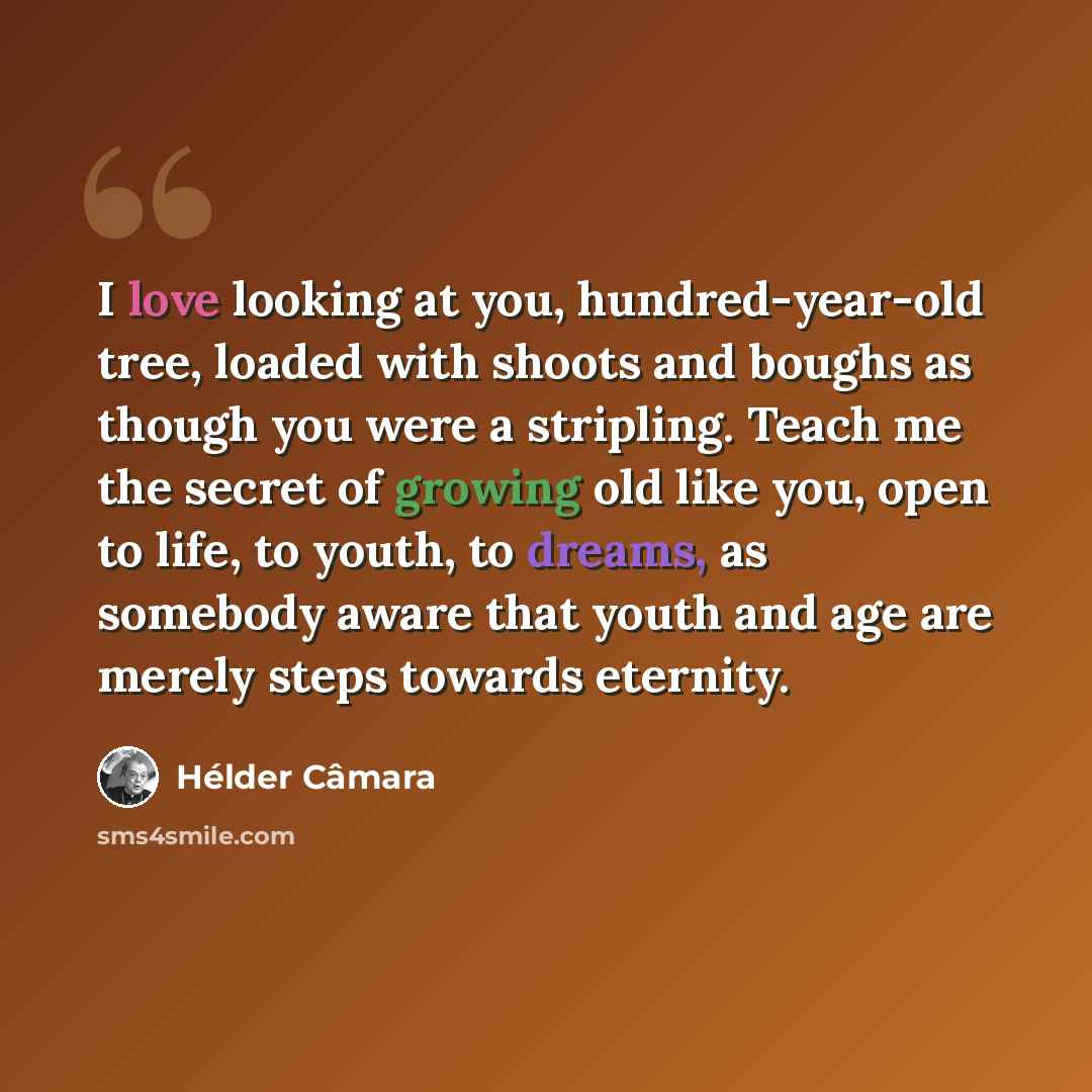 “I love looking at you, hundred-year-old tree, loaded with shoots and boughs as though you were a stripling. Teach me the secret of growing old like you, open to life, to youth, to dreams, as somebody aware that youth and age are merely steps towards eternity.” quote by Hélder Câmara