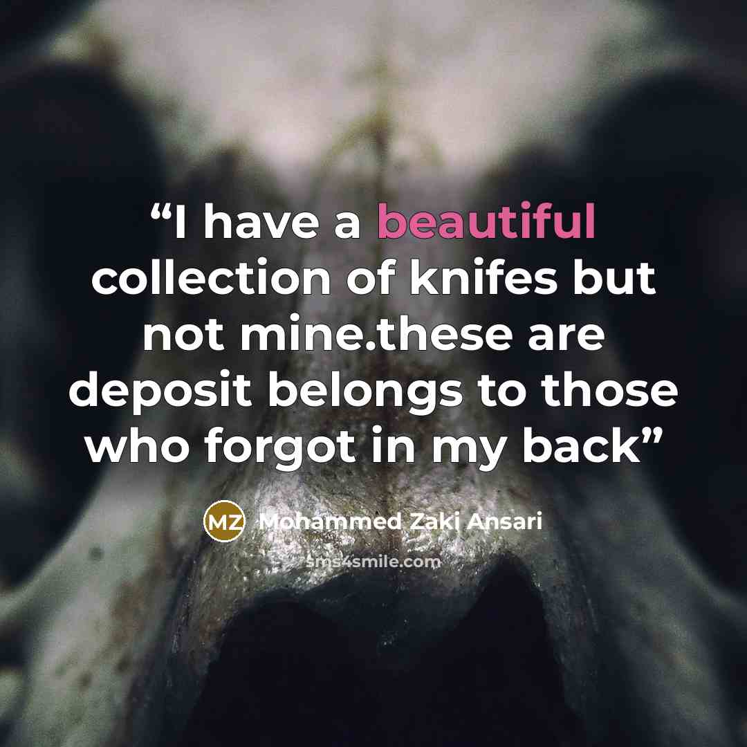 “I have a beautiful collection of knifes but not mine.these are deposit belongs to those who forgot in my back” quote by Mohammed Zaki Ansari