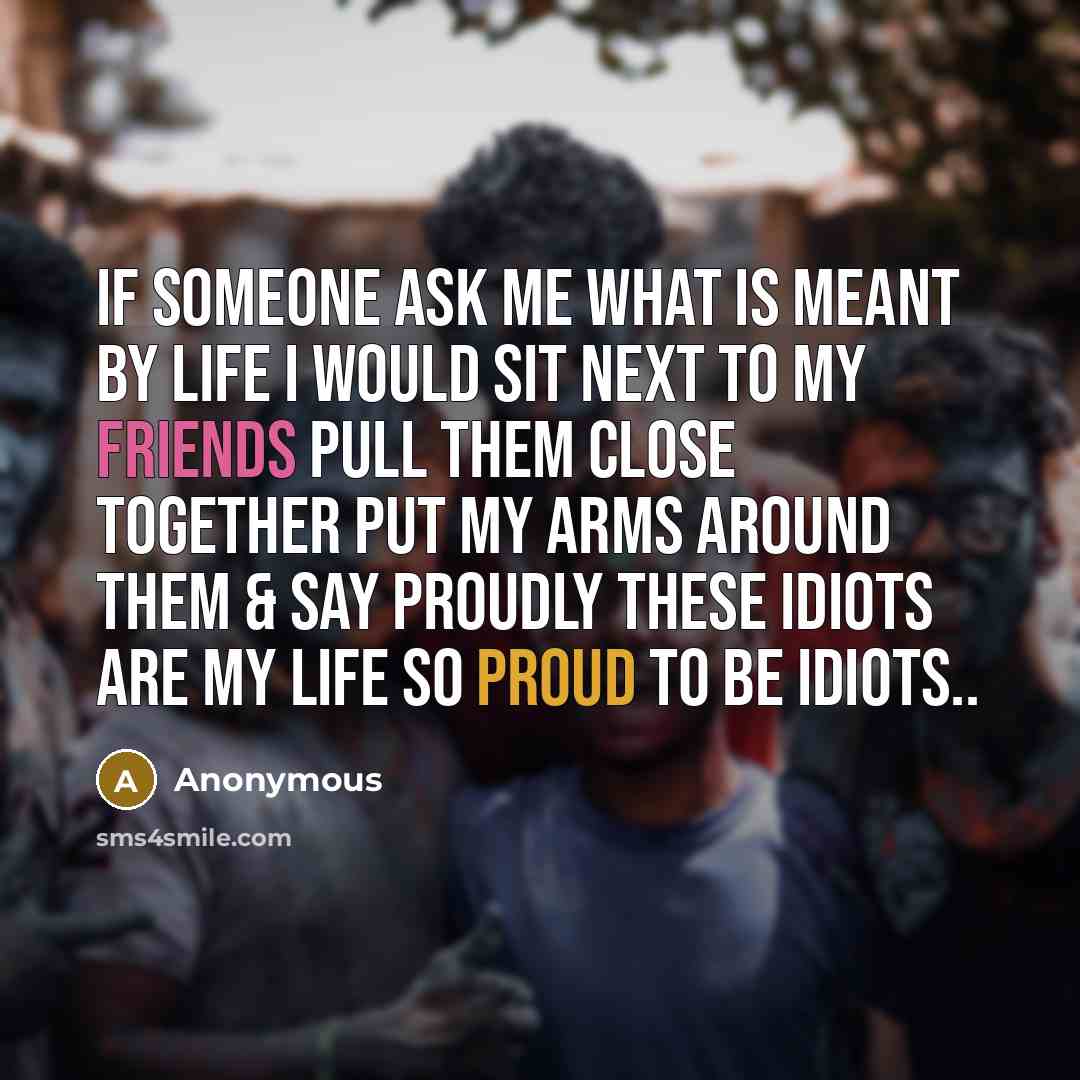 “If someone ask me What is Meant by life I would Sit Next to My Friends Pull them Close together Put My Arms around them & Say Proudly these IDIOTS are My Life so proud to be idiots..” quote by Anonymous