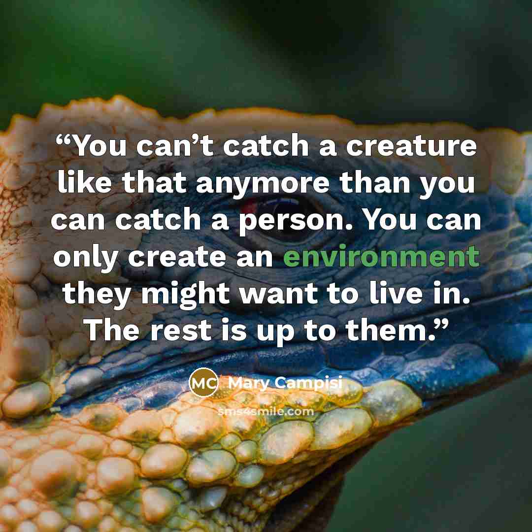 “You can’t catch a creature like that anymore than you can catch a person. You can only create an environment they might want to live in. The rest is up to them.” quote by Mary Campisi