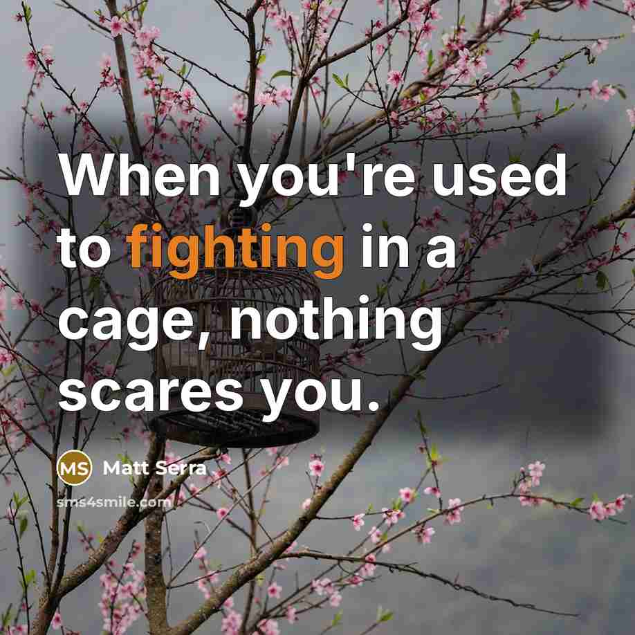 “When you're used to fighting in a cage, nothing scares you.” quote by Matt Serra