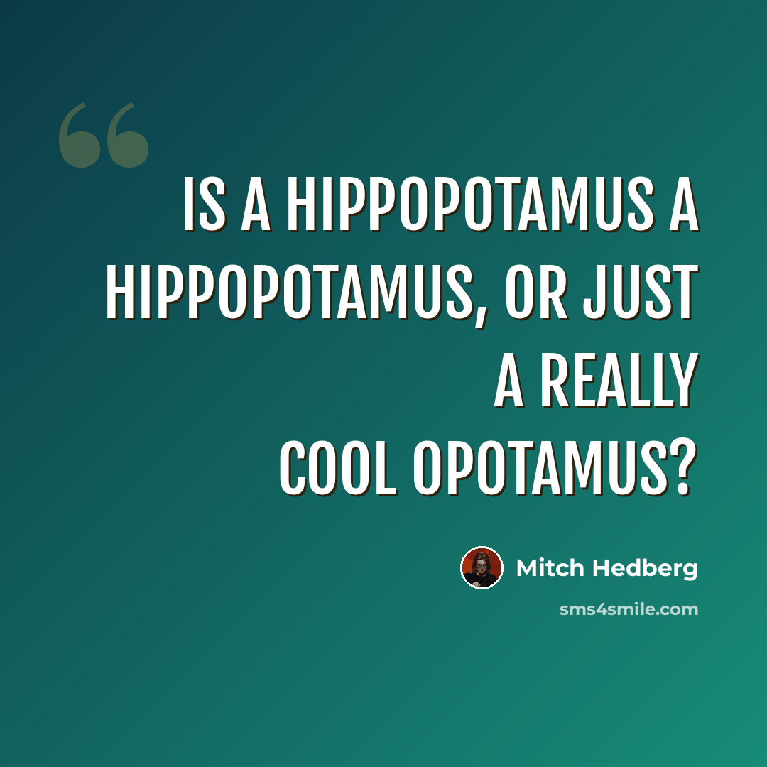 “Is a hippopotamus a hippopotamus, or just a really cool Opotamus?” quote by Mitch Hedberg