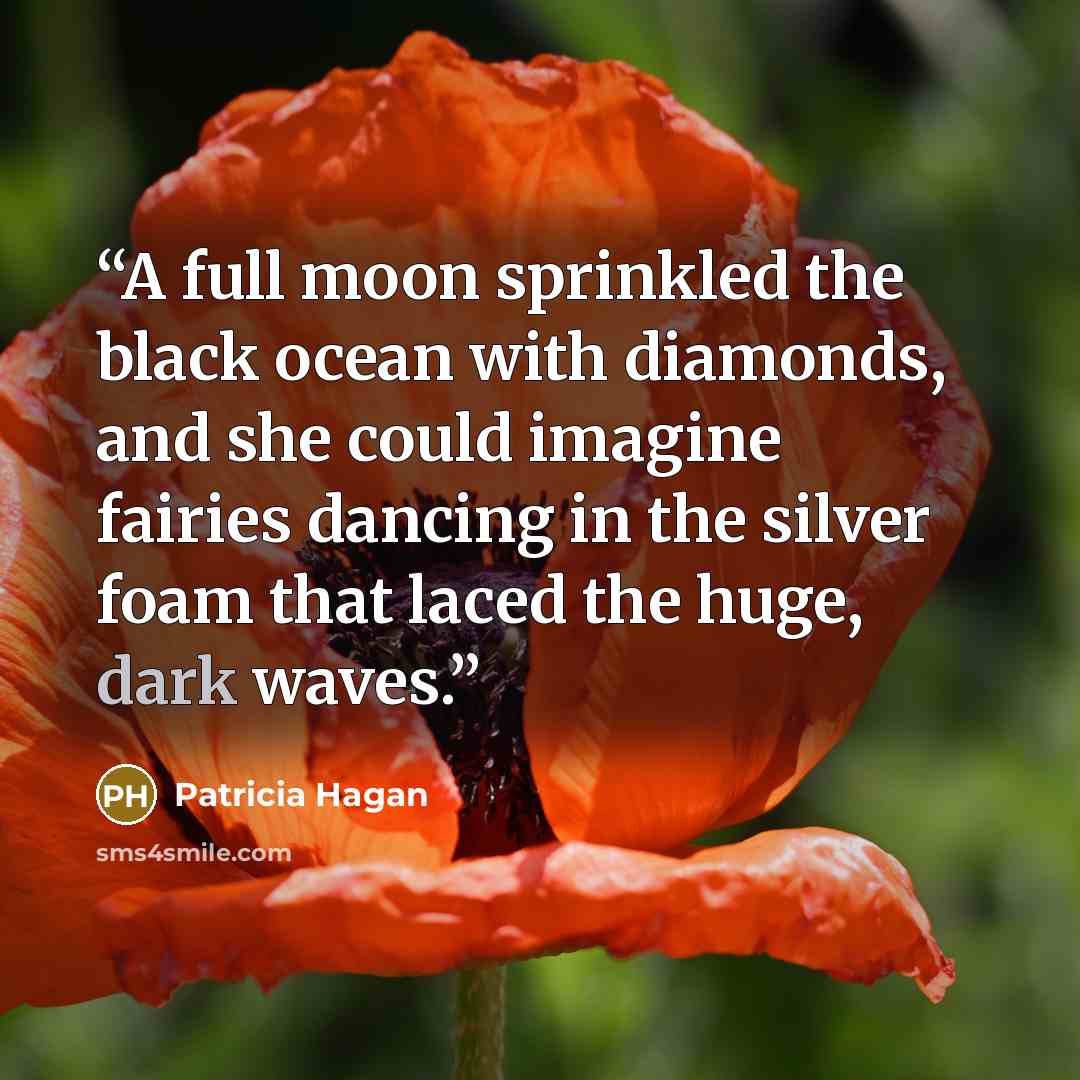 “A full moon sprinkled the black ocean with diamonds, and she could imagine fairies dancing in the silver foam that laced the huge, dark waves.” quote by Patricia Hagan