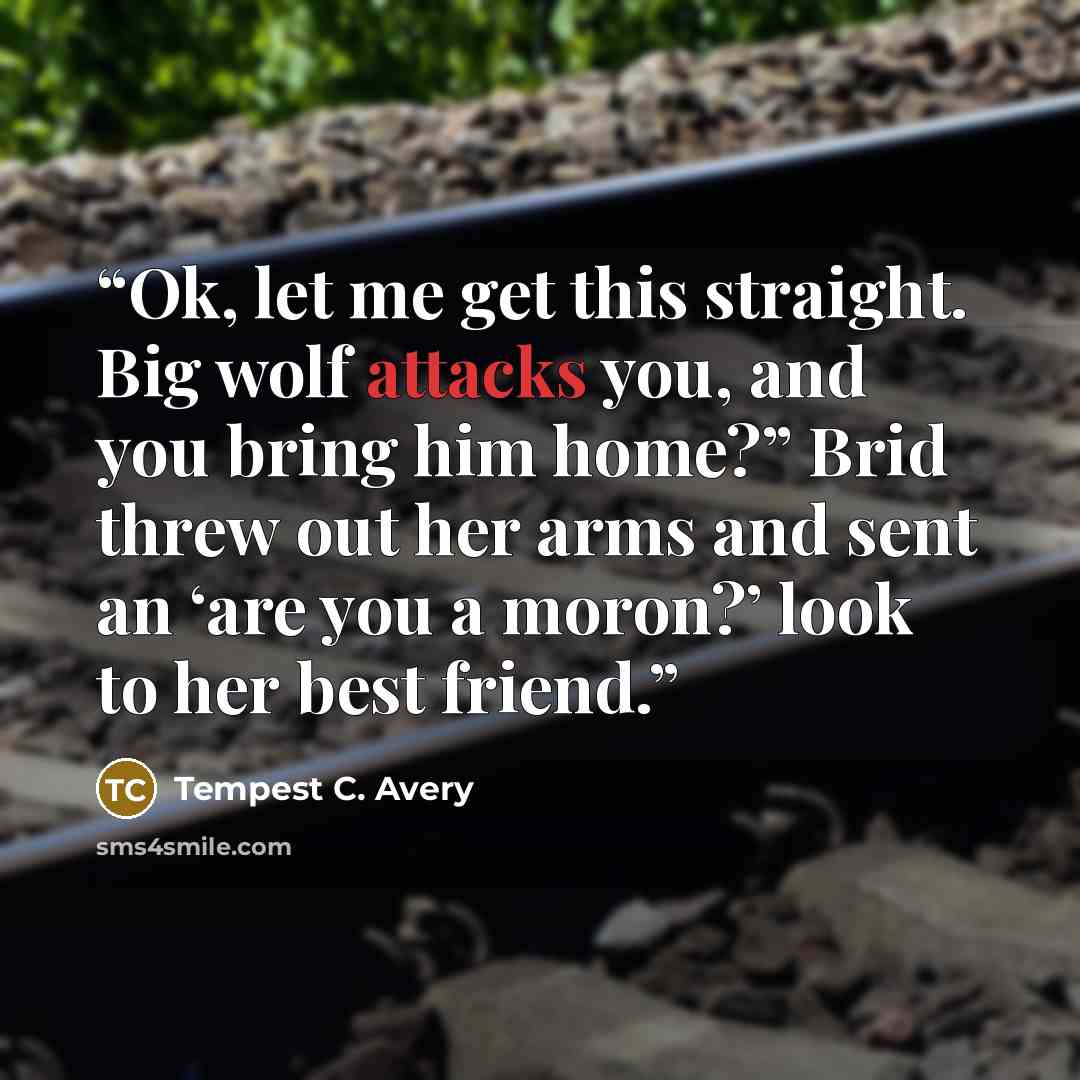 “Ok, let me get this straight. Big wolf attacks you, and you bring him home?” Brid threw out her arms and sent an ‘are you a moron?’ look to her best friend.” quote by Tempest C. Avery