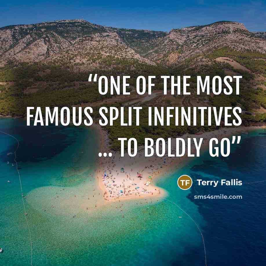 “one of the most famous split infinitives ... To boldly go” quote by Terry Fallis