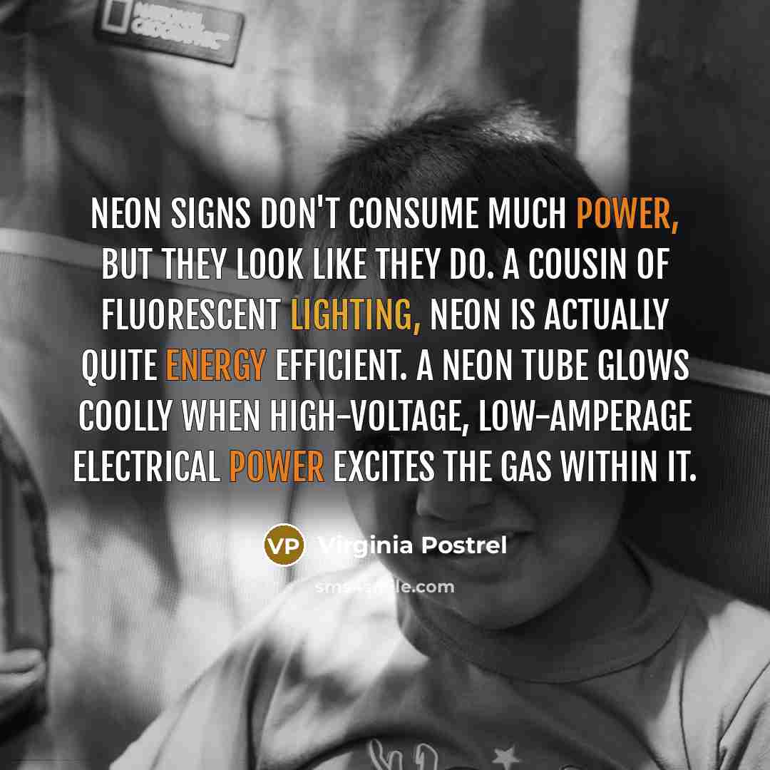 “Neon signs don't consume much power, but they look like they do. A cousin of fluorescent lighting, neon is actually quite energy efficient. A neon tube glows coolly when high-voltage, low-amperage electrical power excites the gas within it.” quote by Virginia Postrel