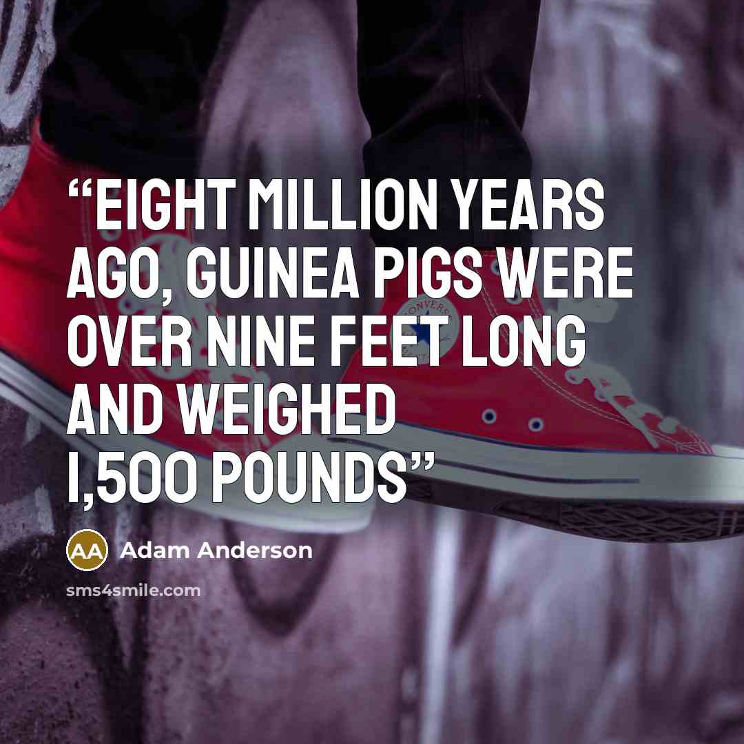 “Eight million years ago, guinea pigs were over nine feet long and weighed 1,500 pounds” quote by Adam Anderson