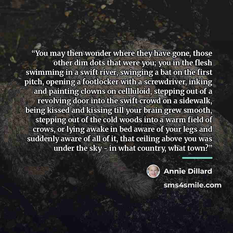 “You may then wonder where they have gone, those other dim dots that were you; you in the flesh swimming in a swift river, swinging a bat on the first pitch, opening a footlocker with a screwdriver, inking and painting clowns on cellluloid, stepping out of a revolving door into the swift crowd on a…” quote by Annie Dillard