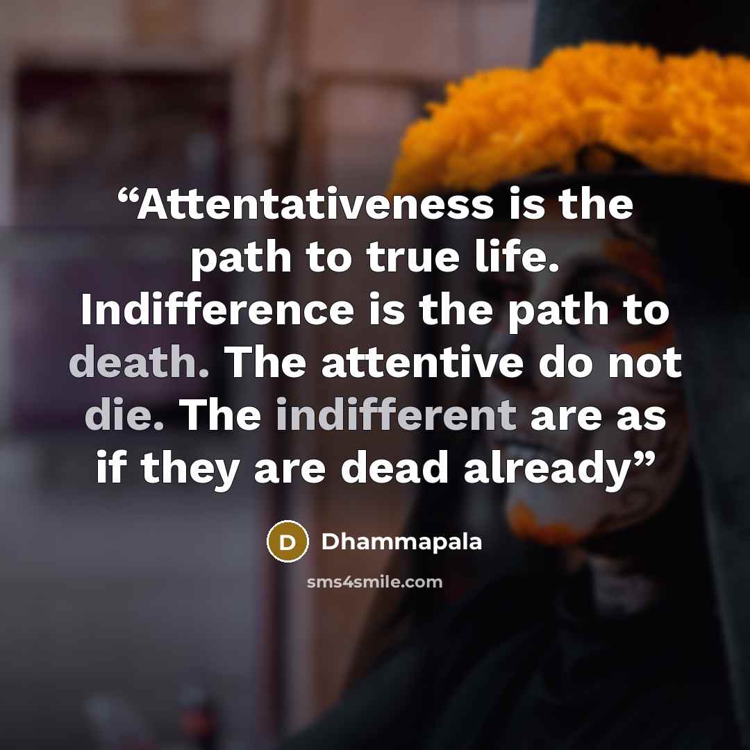 “Attentativeness is the path to true life. Indifference is the path to death. The attentive do not die. The indifferent are as if they are dead already” quote by Dhammapala