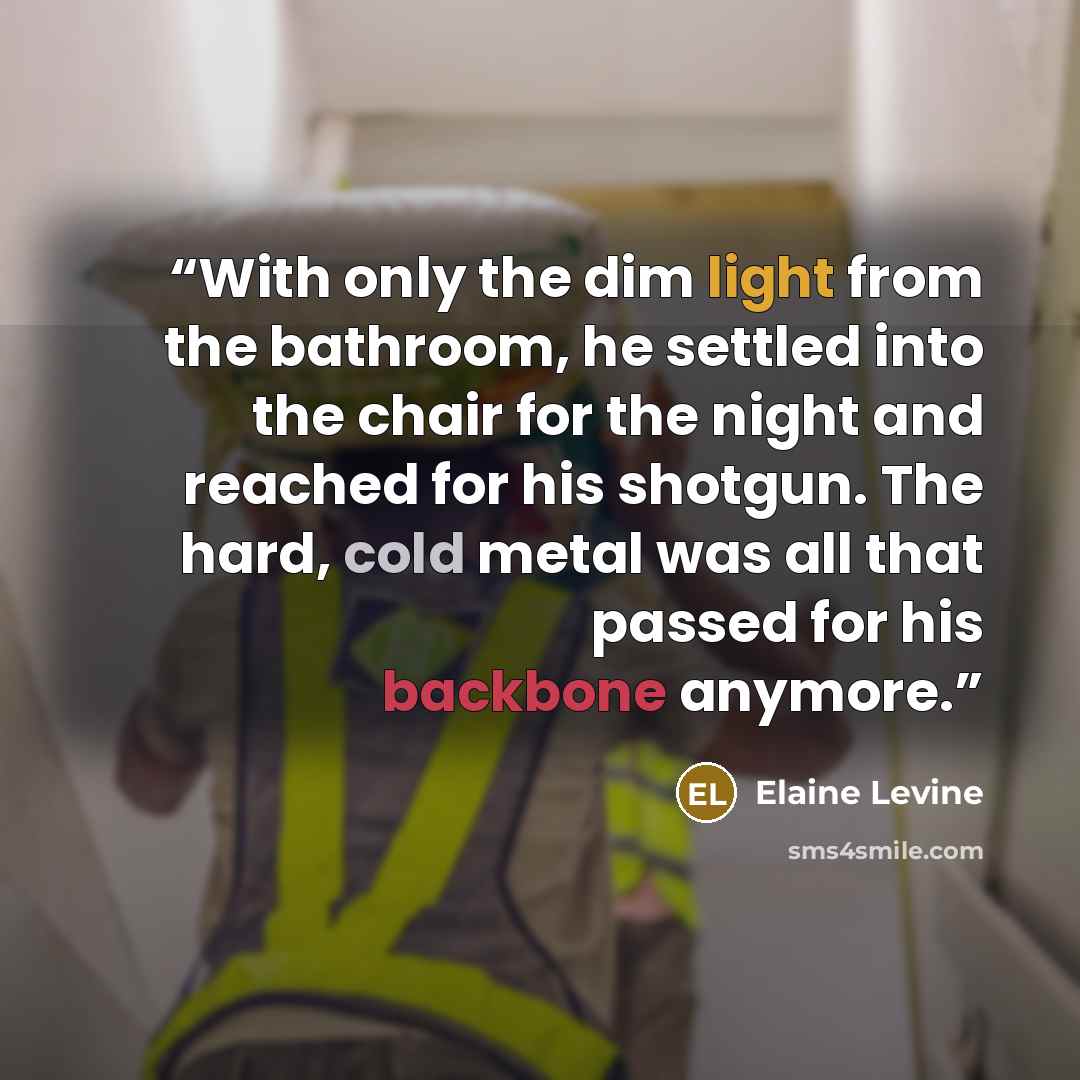“With only the dim light from the bathroom, he settled into the chair for the night and reached for his shotgun. The hard, cold metal was all that passed for his backbone anymore.” quote by Elaine Levine