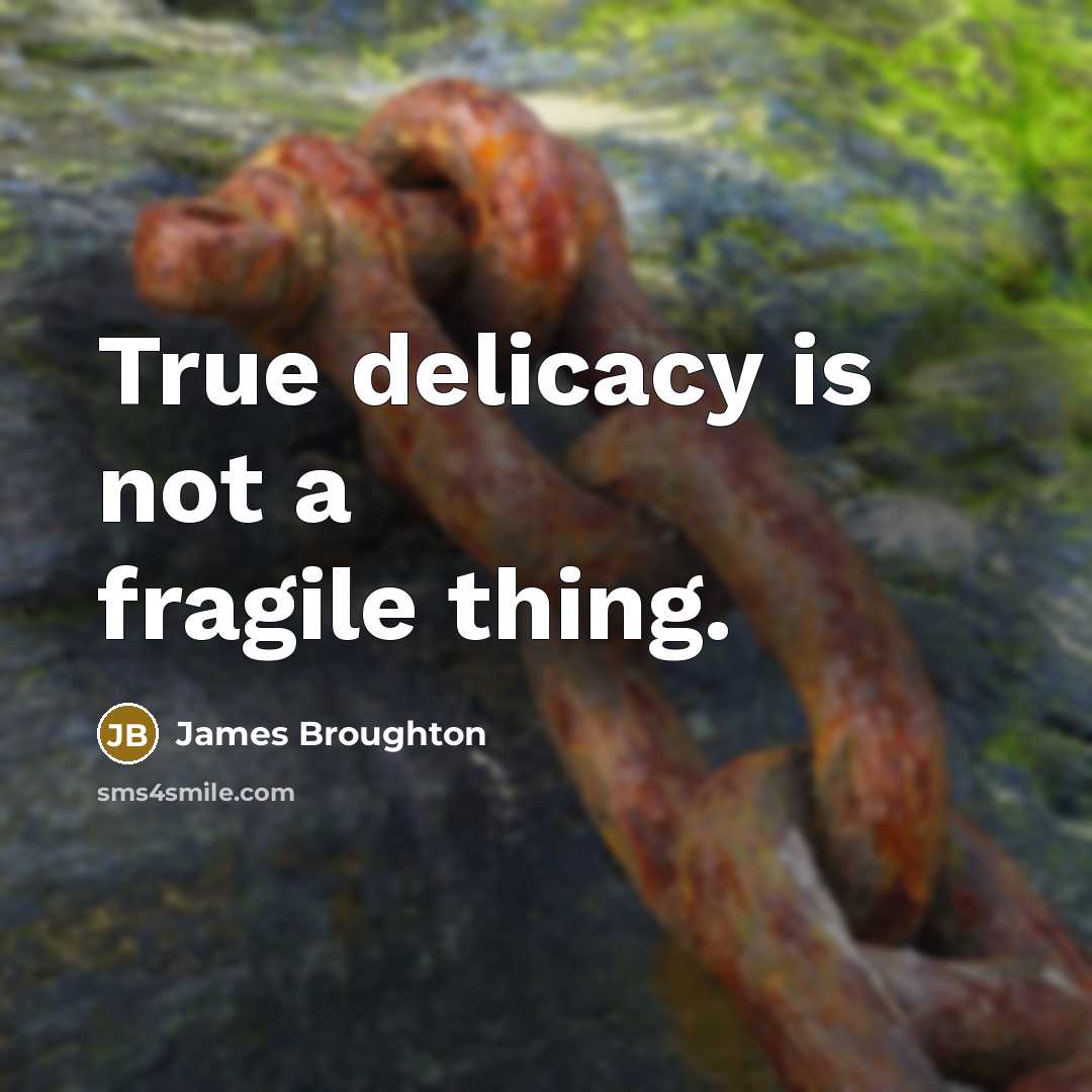 “True delicacy is not a fragile thing.” quote by James Broughton