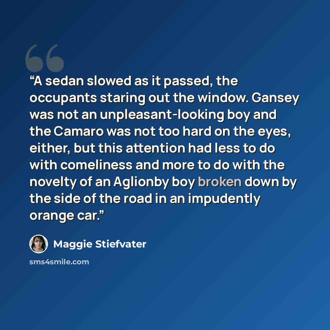 “A sedan slowed as it passed, the occupants staring out the window. Gansey was not an unpleasant-looking boy and the Camaro was not too hard on the eyes, either, but this attention had less to do with comeliness and more to do with the novelty of an Aglionby boy broken down by the side of the road…” quote by Maggie Stiefvater