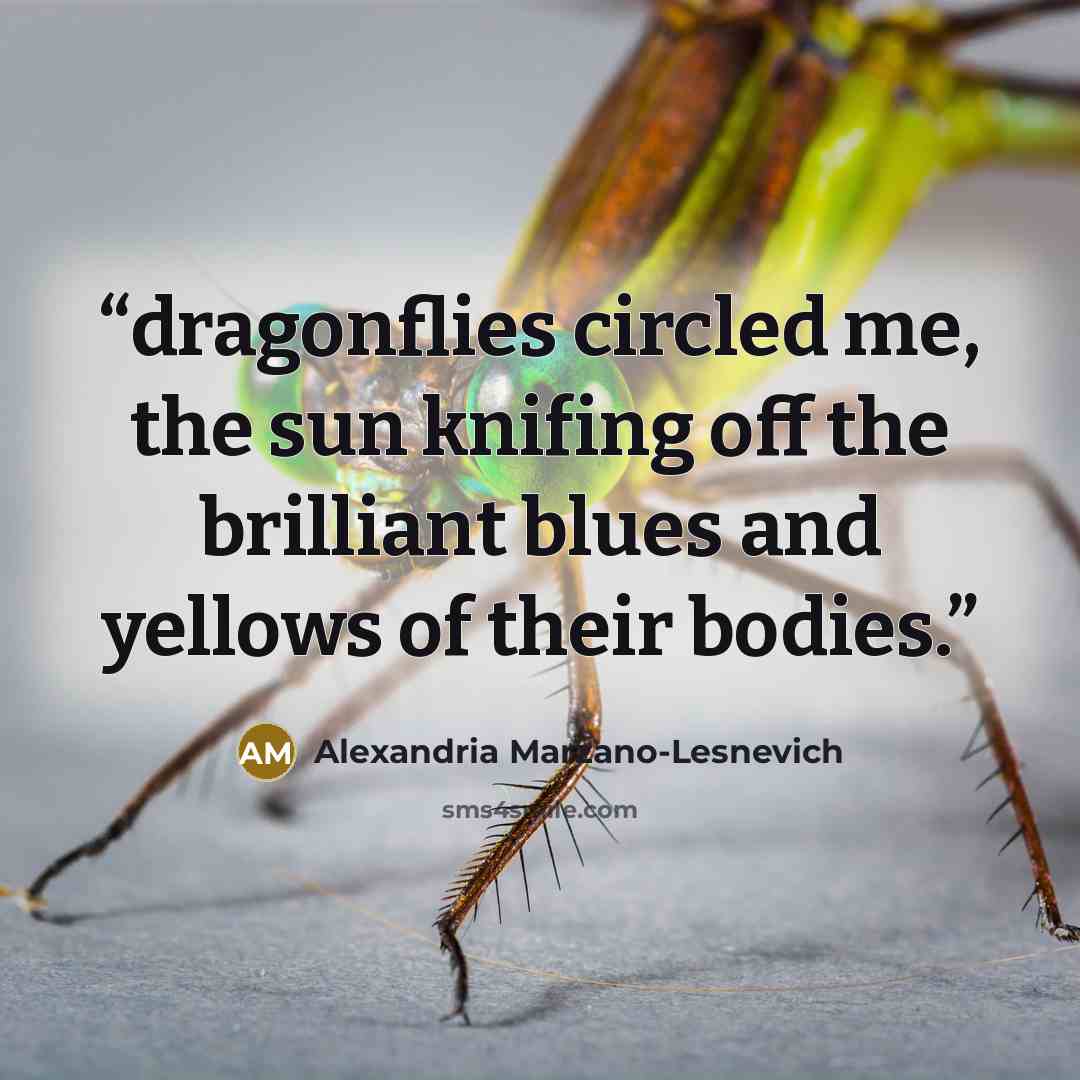 “dragonflies circled me, the sun knifing off the brilliant blues and yellows of their bodies.” quote by Alexandria Marzano-Lesnevich