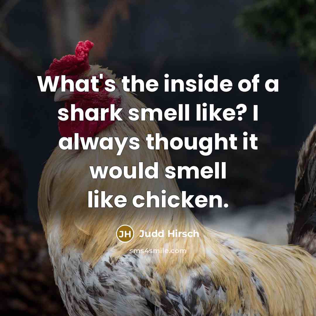 “What's the inside of a shark smell like? I always thought it would smell like chicken.” quote by Judd Hirsch
