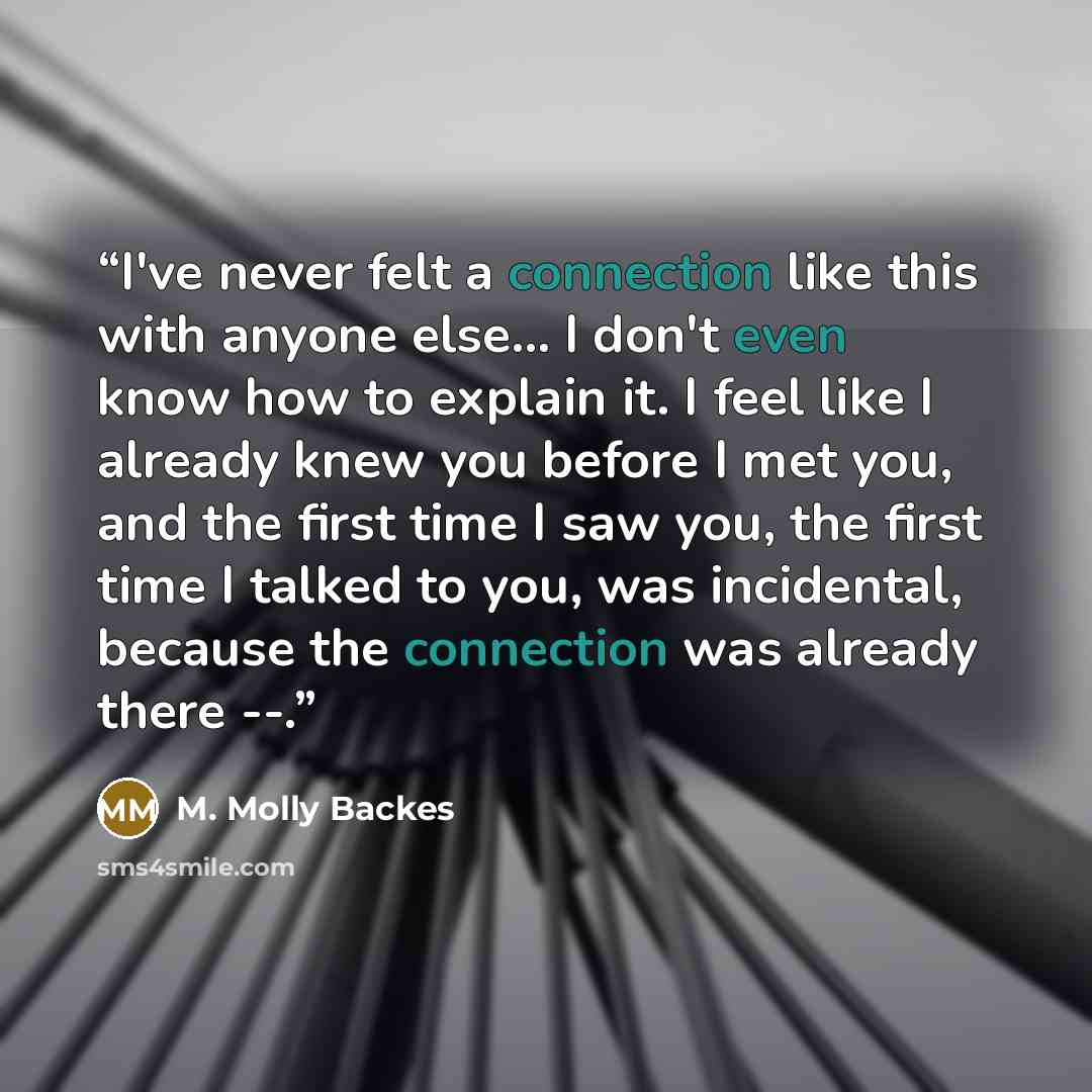 “I've never felt a connection like this with anyone else... I don't even know how to explain it. I feel like I already knew you before I met you, and the first time I saw you, the first time I talked to you, was incidental, because the connection was already there --.” quote by M. Molly Backes