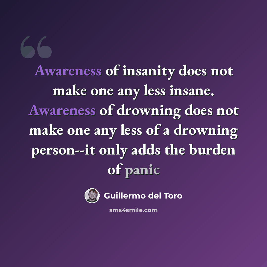 “Awareness of insanity does not make one any less insane. Awareness of drowning does not make one any less of a drowning person--it only adds the burden of panic” quote by Guillermo del Toro