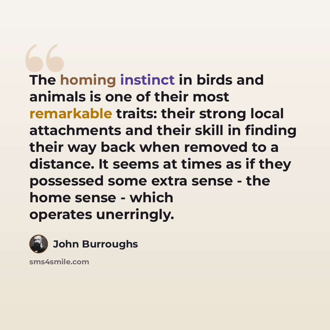 “The homing instinct in birds and animals is one of their most remarkable traits: their strong local attachments and their skill in finding their way back when removed to a distance. It seems at times as if they possessed some extra sense - the home sense - which operates unerringly.” quote by John Burroughs