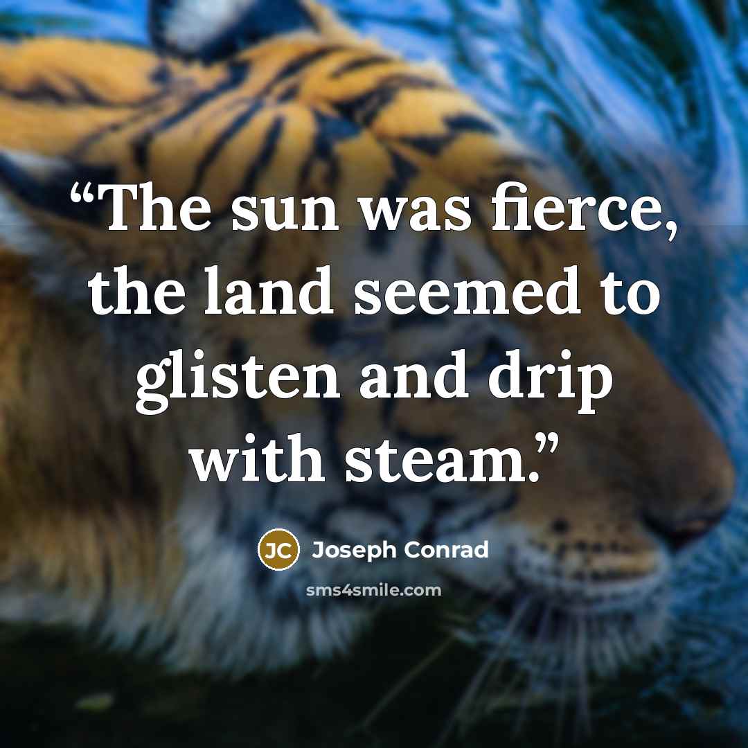 “The sun was fierce, the land seemed to glisten and drip with steam.” quote by Joseph Conrad