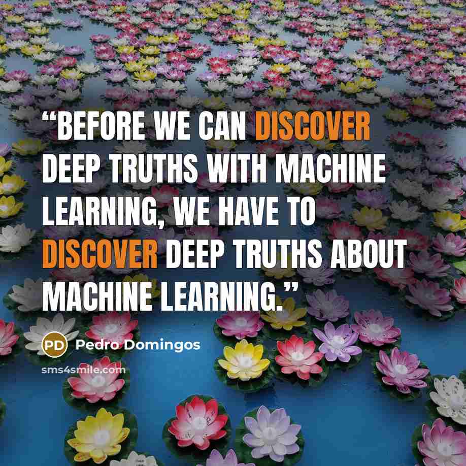 “Before we can discover deep truths with machine learning, we have to discover deep truths about machine learning.” quote by Pedro Domingos