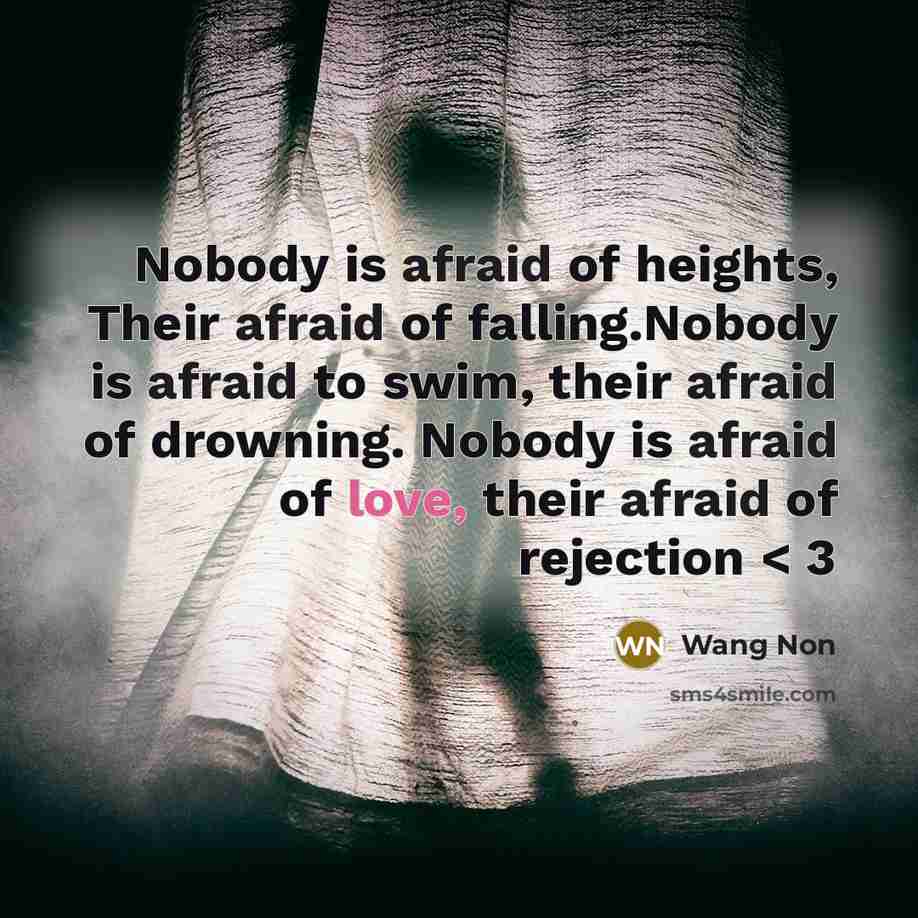 “Nobody is afraid of heights, Their afraid of falling.Nobody is afraid to swim, their afraid of drowning. Nobody is afraid of love, their afraid of rejection < 3” quote by Wang Non