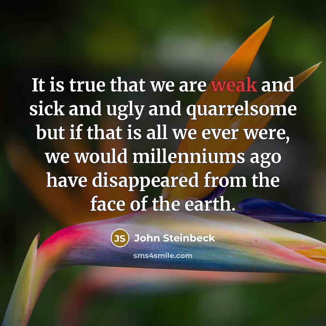 “It is true that we are weak and sick and ugly and quarrelsome but if that is all we ever were, we would millenniums ago have disappeared from the face of the earth.” quote by John Steinbeck