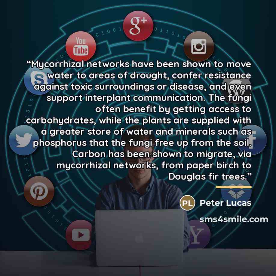 “Mycorrhizal networks have been shown to move water to areas of drought, confer resistance against toxic surroundings or disease, and even support interplant communication. The fungi often benefit by getting access to carbohydrates, while the plants are supplied with a greater store of water and…” quote by Peter Lucas