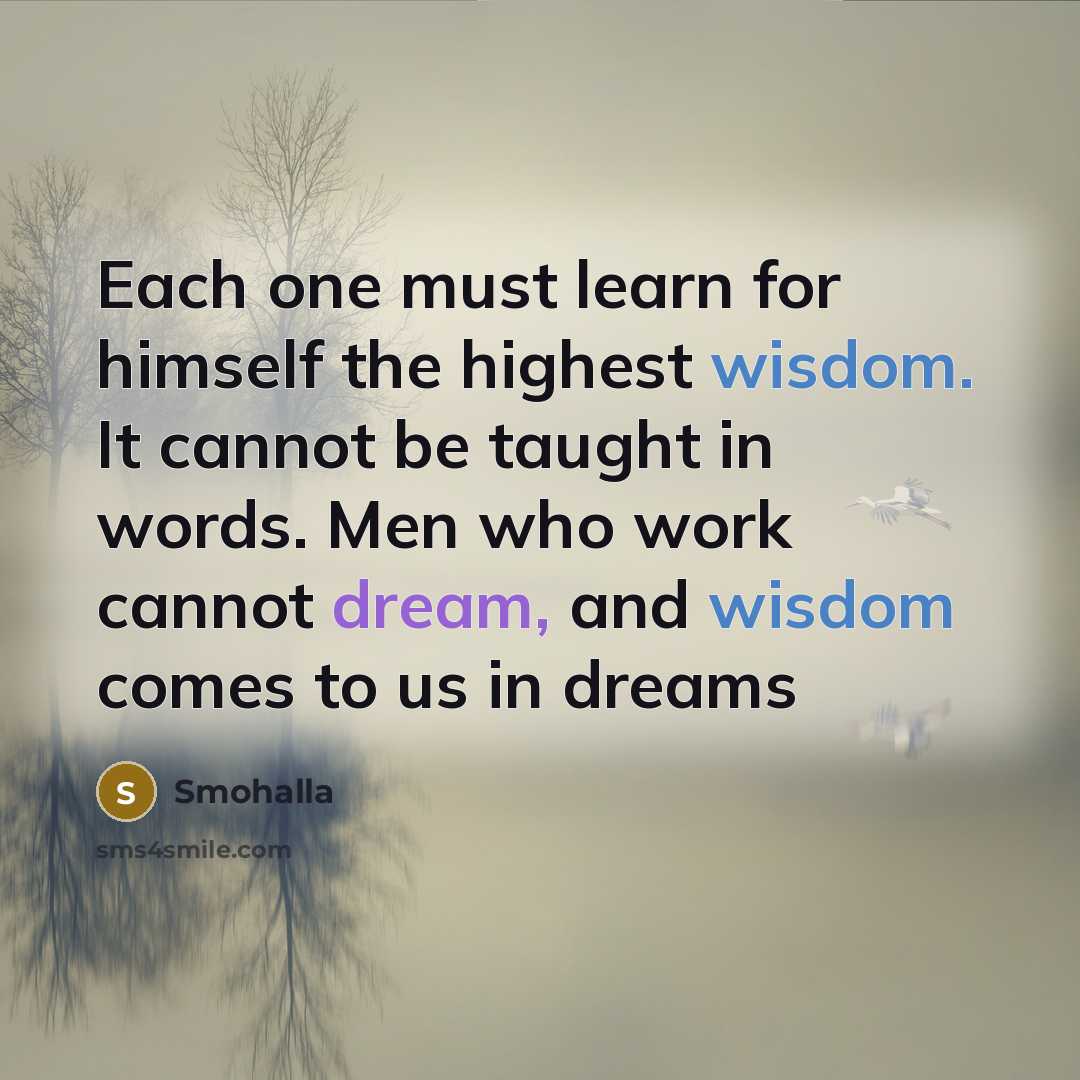“Each one must learn for himself the highest wisdom. It cannot be taught in words. Men who work cannot dream, and wisdom comes to us in dreams” quote by Smohalla
