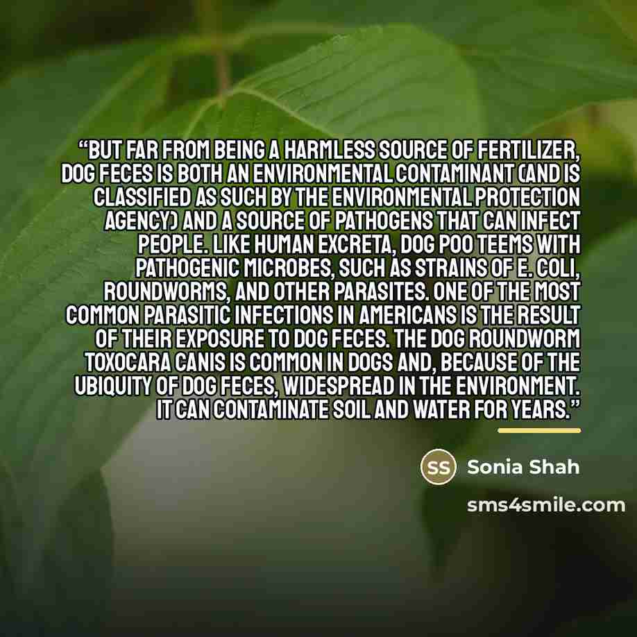 “But far from being a harmless source of fertilizer, dog feces is both an environmental contaminant (and is classified as such by the Environmental Protection Agency) and a source of pathogens that can infect people. Like human excreta, dog poo teems with pathogenic microbes, such as strains of E…” quote by Sonia Shah