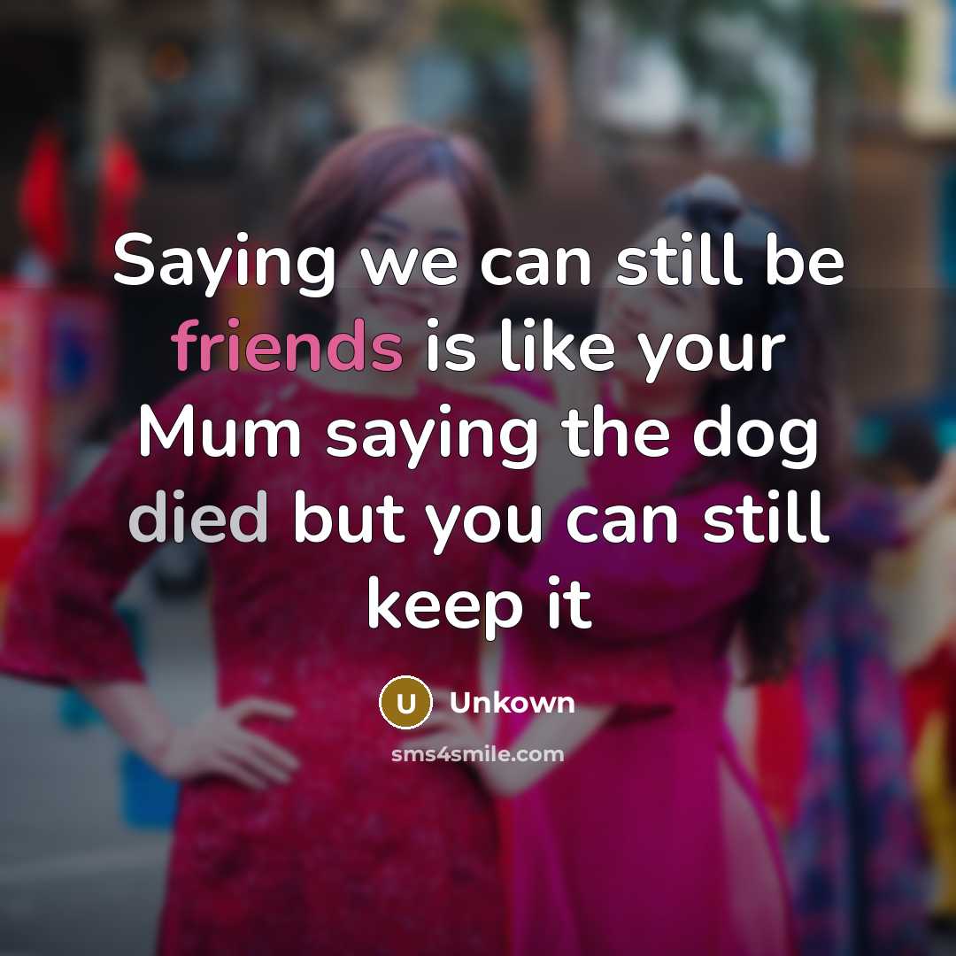 “Saying we can still be friends is like your Mum saying the dog died but you can still keep it” quote by Unkown