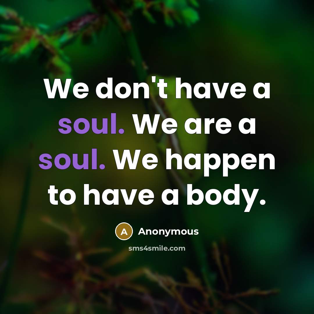 “We don't have a soul. We are a soul. We happen to have a body.” quote by Anonymous