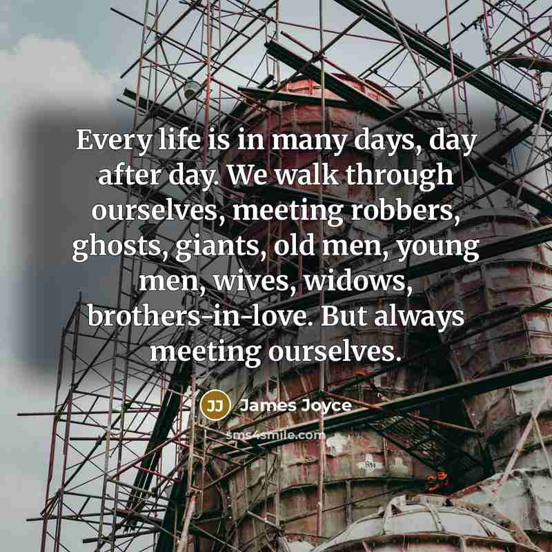 “Every life is in many days, day after day. We walk through ourselves, meeting robbers, ghosts, giants, old men, young men, wives, widows, brothers-in-love. But always meeting ourselves.” quote by James Joyce