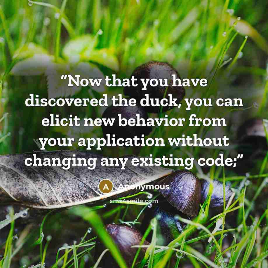 “Now that you have discovered the duck, you can elicit new behavior from your application without changing any existing code;” quote by Anonymous